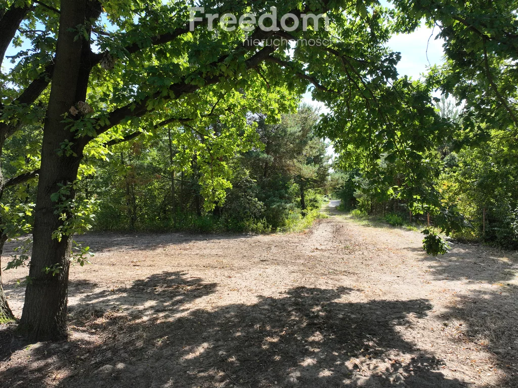 Działka 1 538,00 m², oferta nr , 11144/3685/OGS, Wiązowna, Klonowa