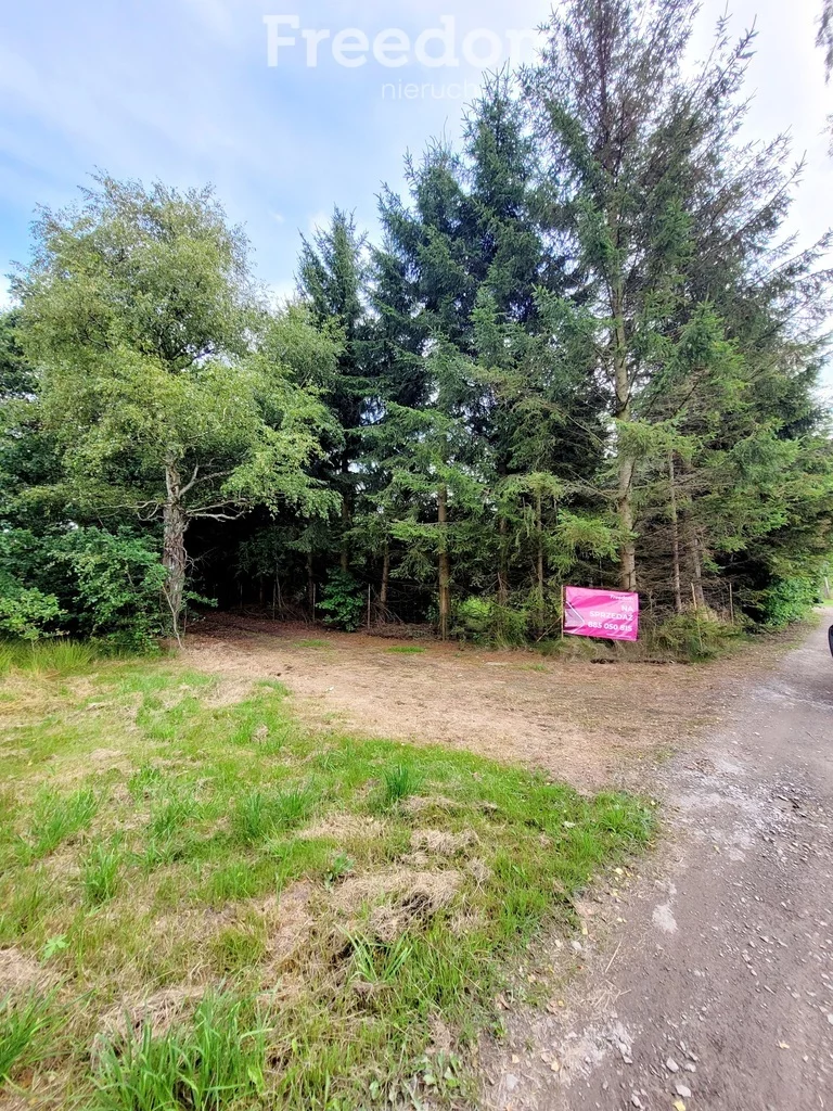 Działka 1 607,00 m², oferta nr , 11009/3685/OGS, Kodrąbek