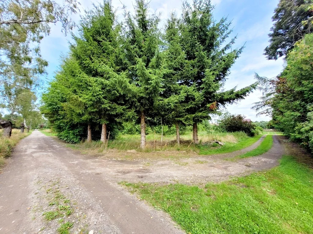 Działka 1 607,00 m², oferta nr , 11483/3685/OGS, Kodrąbek