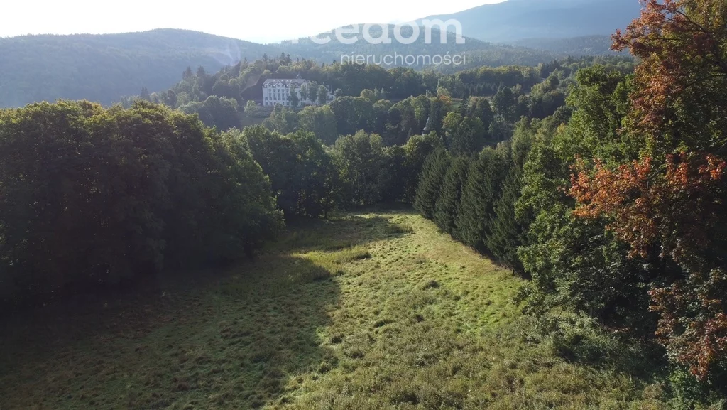 Działka 33 085,00 m², oferta nr , 6729/3685/OGS, Szklarska Poręba, Kolejowa