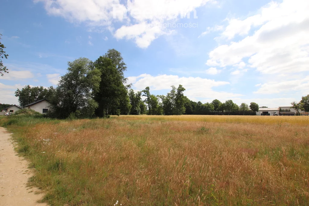 Apartamenty 10779/3685/OGS Koło
