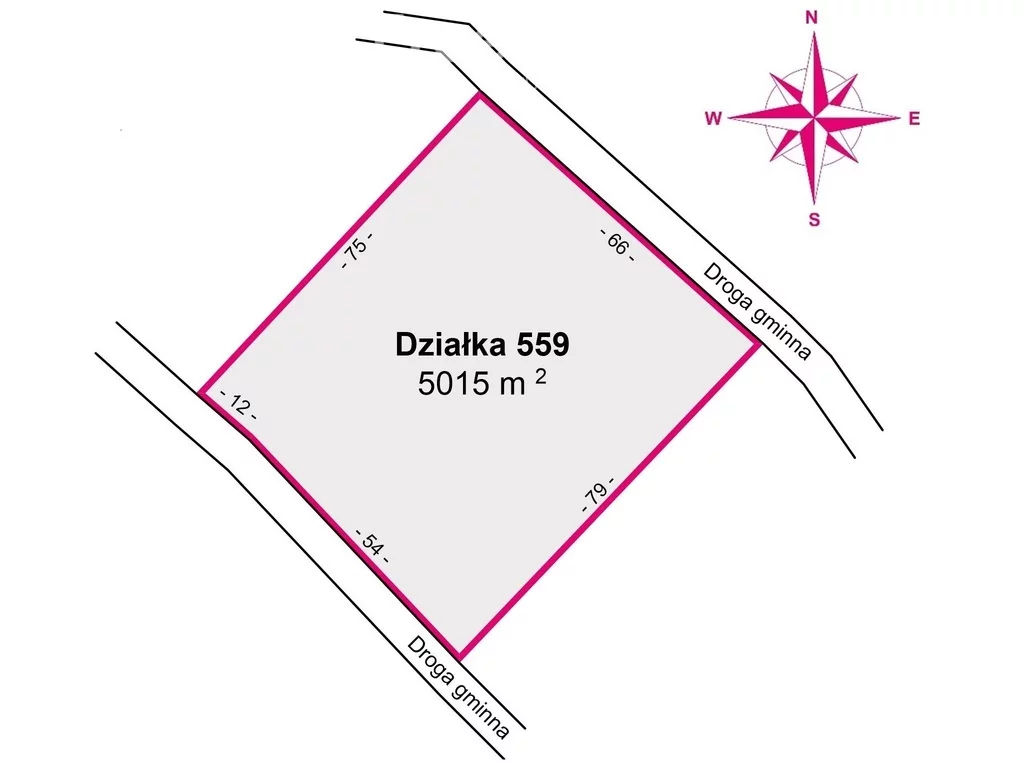 10876/3685/OGS - zdjęcie nr 2