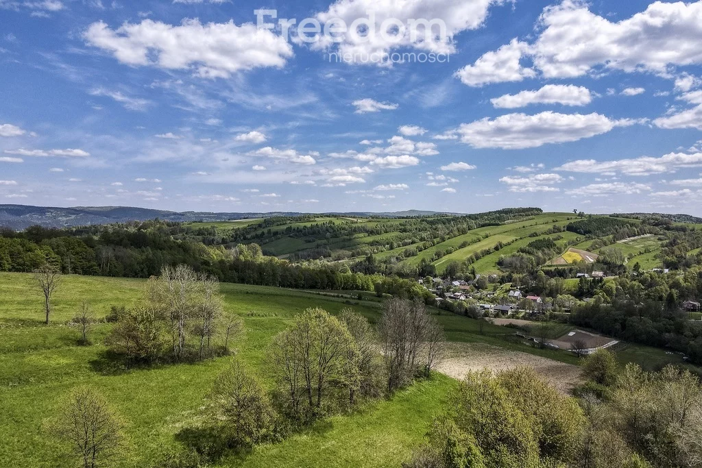 Apartamenty 10875/3685/OGS Końskie