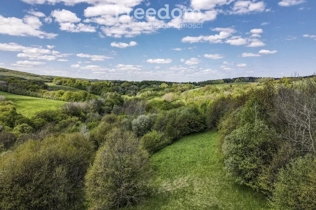 10875/3685/OGS - zdjęcie nr 1