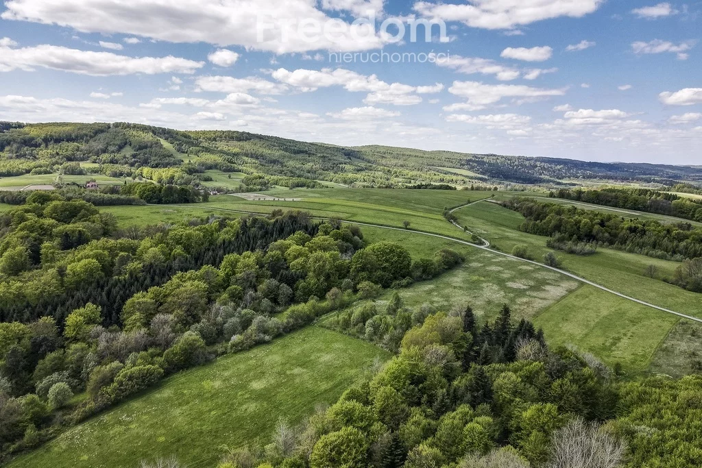 Działka 9 284,00 m², oferta nr , 10875/3685/OGS, Końskie