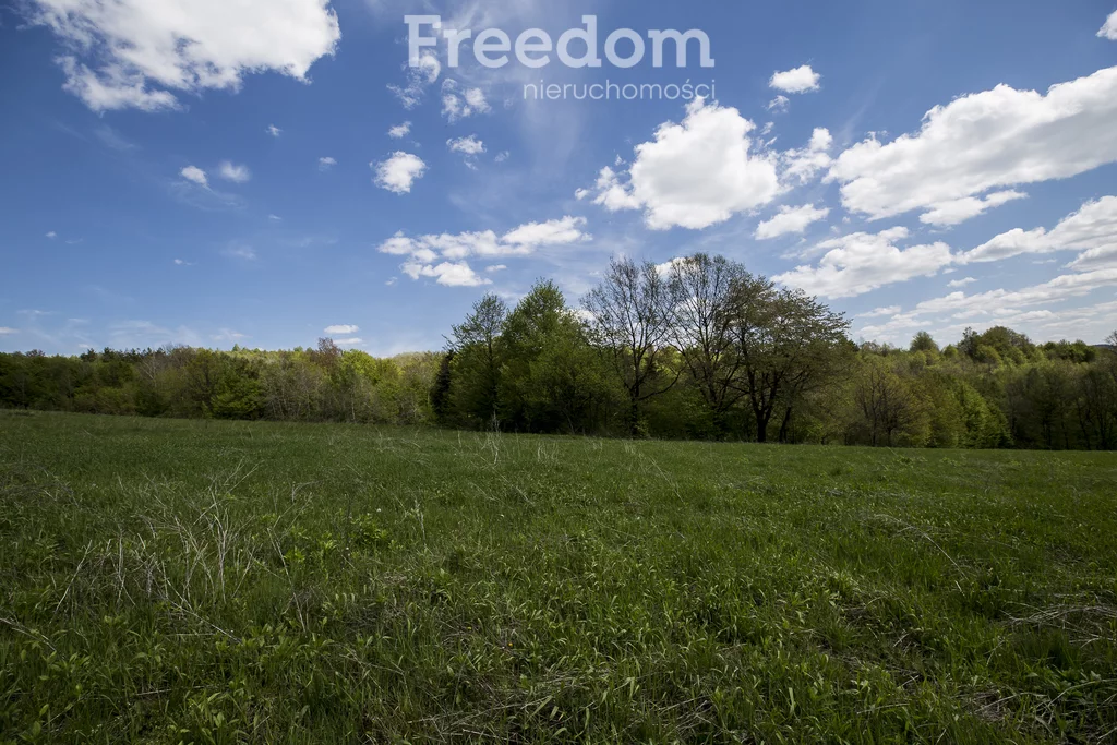 Działka 9 284,00 m², oferta nr , 10875/3685/OGS, Końskie