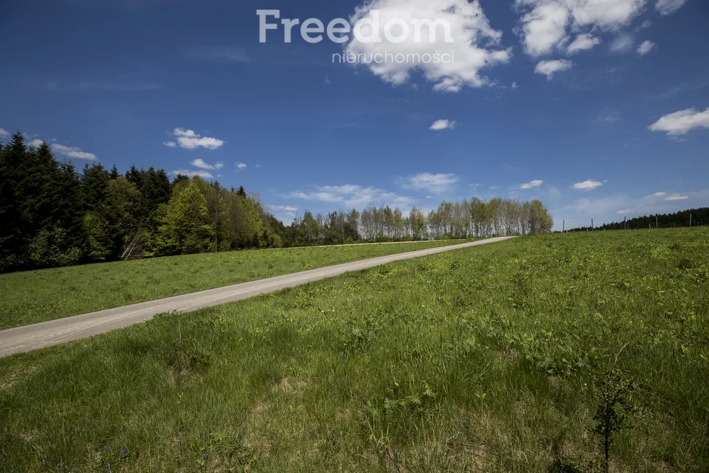 Działka 9 284,00 m², oferta nr , 10875/3685/OGS, Końskie