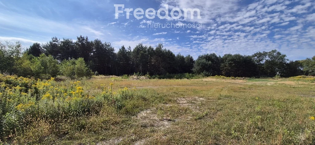 Działka 5 000,00 m², oferta nr , 11266/3685/OGS, Kotórz Mały