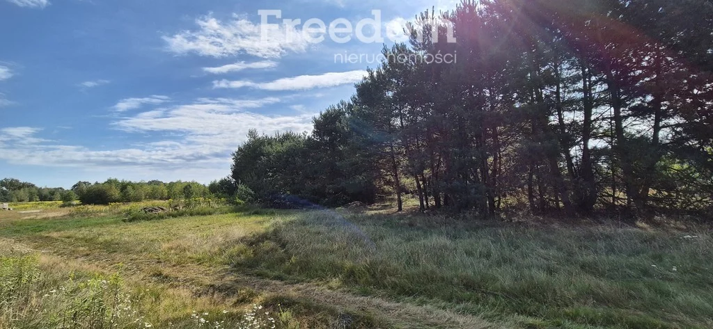 Działka 5 000,00 m², oferta nr , 11266/3685/OGS, Kotórz Mały