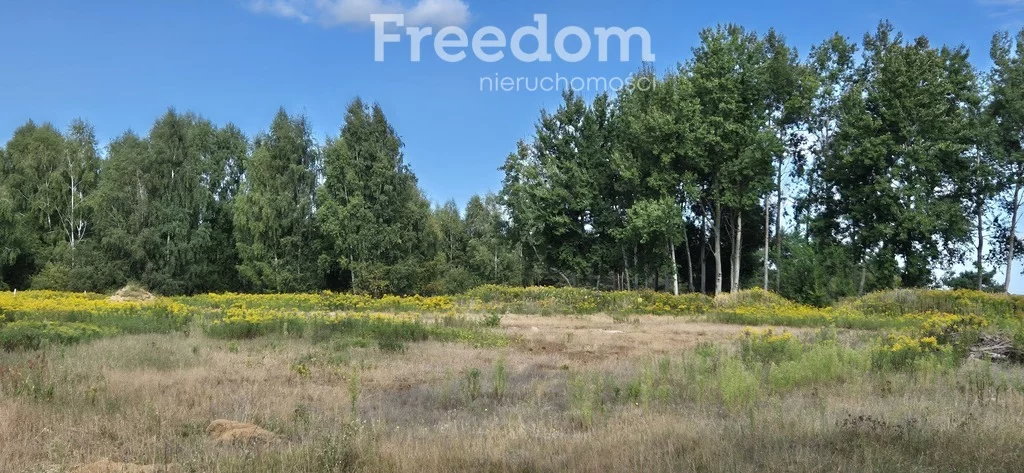 Działka 5 000,00 m², oferta nr , 11266/3685/OGS, Kotórz Mały