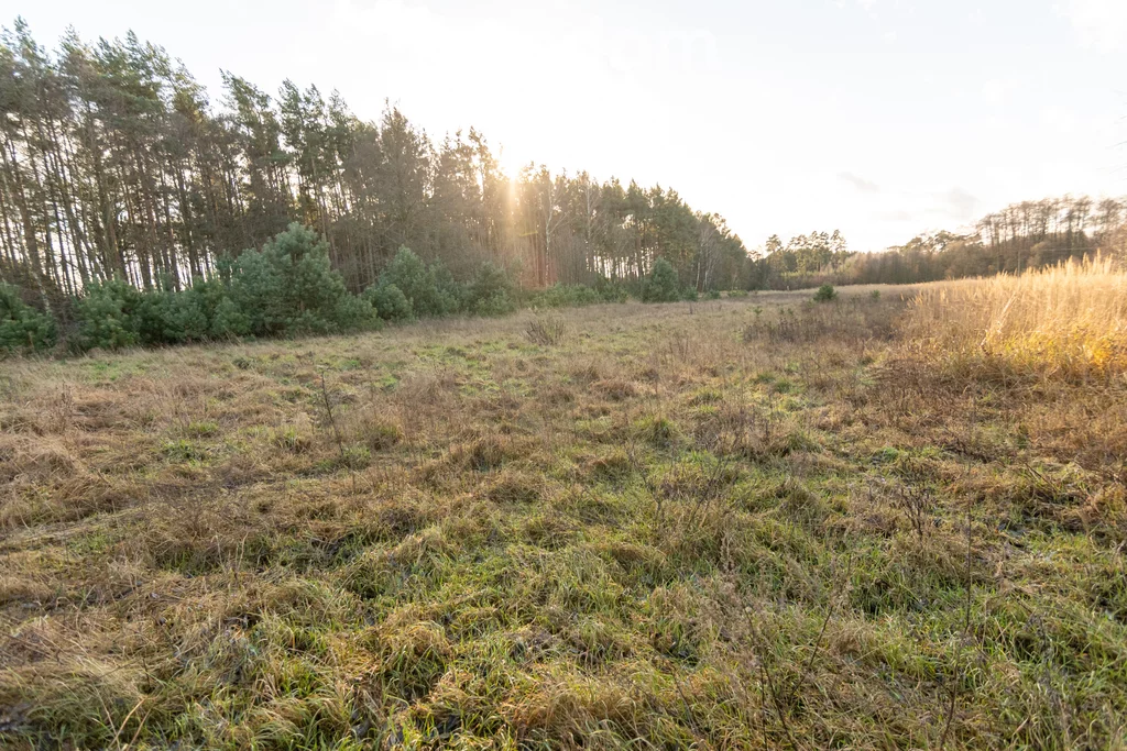 Działka 1 196,00 m², Kotuń, Sprzedaż