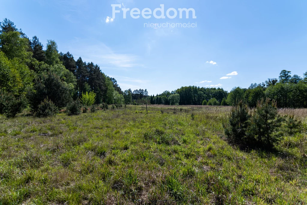 Działka 1 196,00 m², oferta nr , 9540/3685/OGS, Kotuń