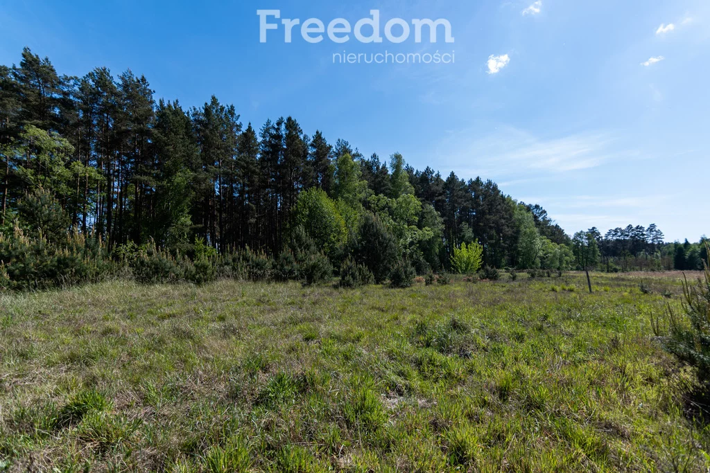 Działka 1 196,00 m², oferta nr , 9540/3685/OGS, Kotuń