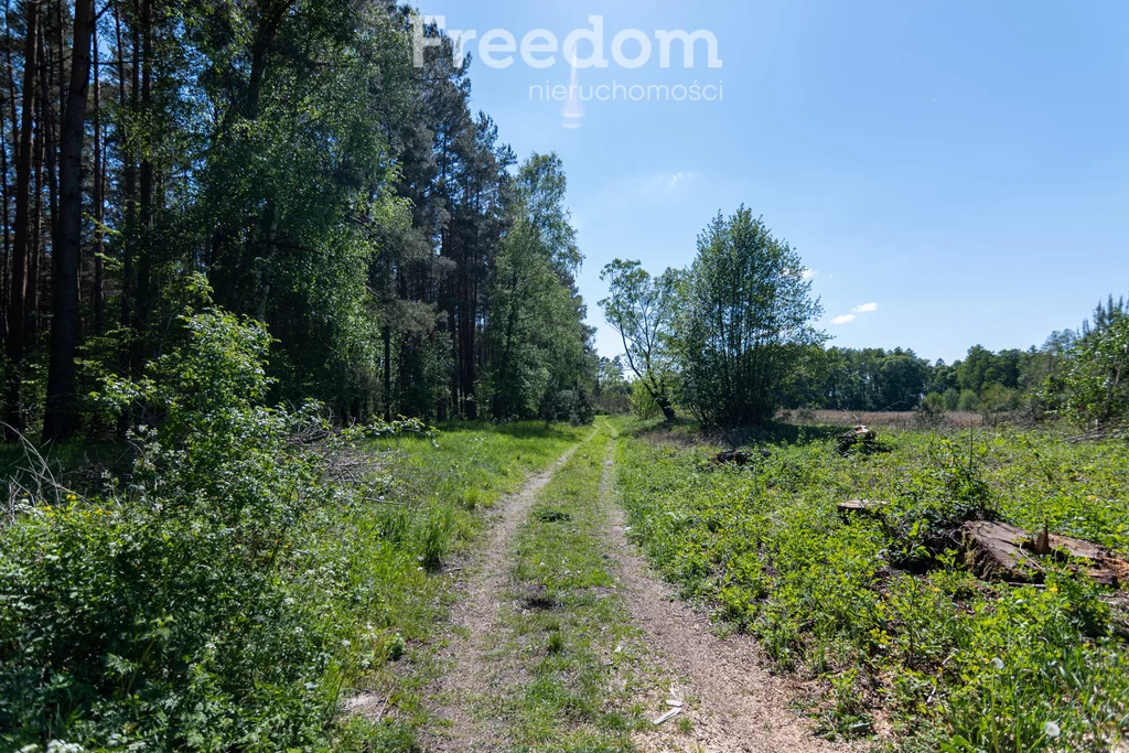 Działka 1 196,00 m², oferta nr , 9540/3685/OGS, Kotuń