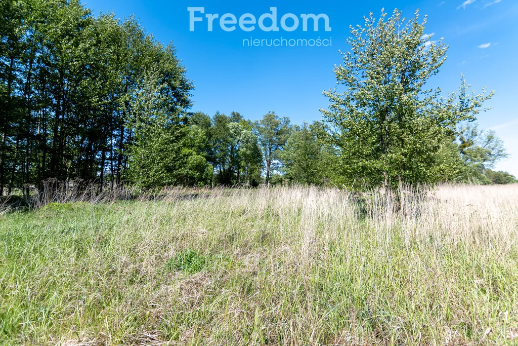 Działka 1 650,00 m², oferta nr , 10004/3685/OGS, Kotuń