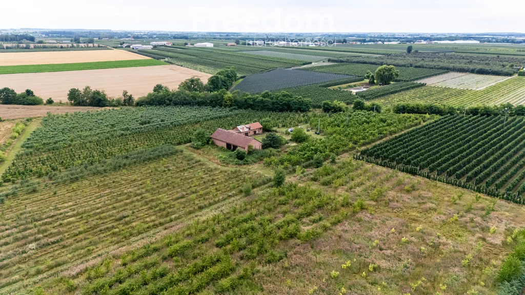 Działka 50 859,00 m², oferta nr , 11002/3685/OGS, Koziel
