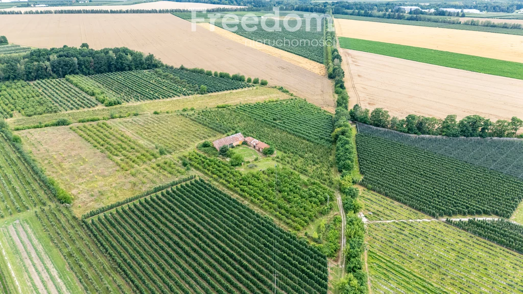Działka 50 859,00 m², oferta nr , 11002/3685/OGS, Koziel