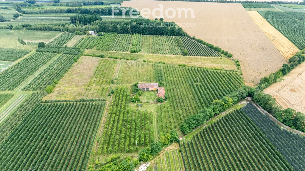 Działka 50 859,00 m², oferta nr , 11002/3685/OGS, Koziel