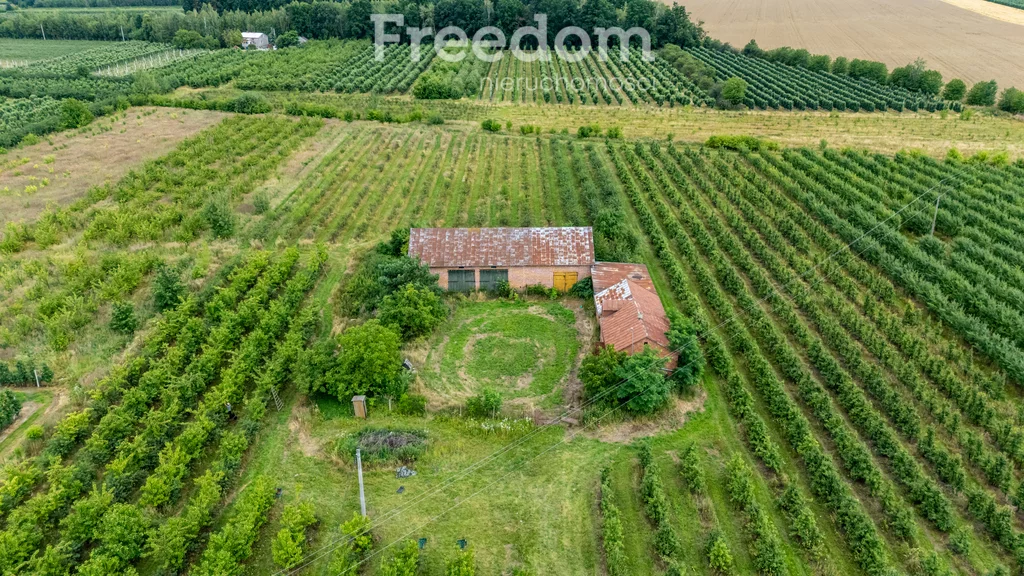 Działka 50 859,00 m², oferta nr , 11002/3685/OGS, Koziel