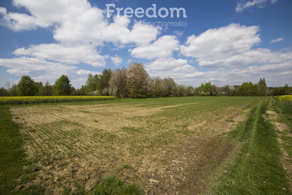 Działka 5 600,00 m², oferta nr , 6766/3685/OGS, Kraczkowa