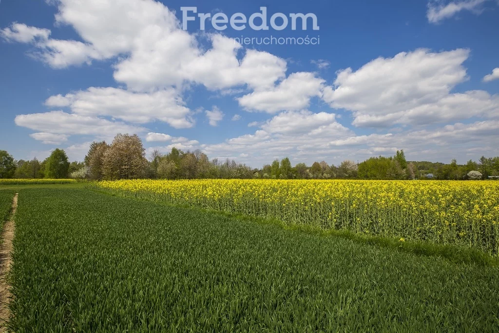 Działka 5 600,00 m², oferta nr , 6766/3685/OGS, Kraczkowa