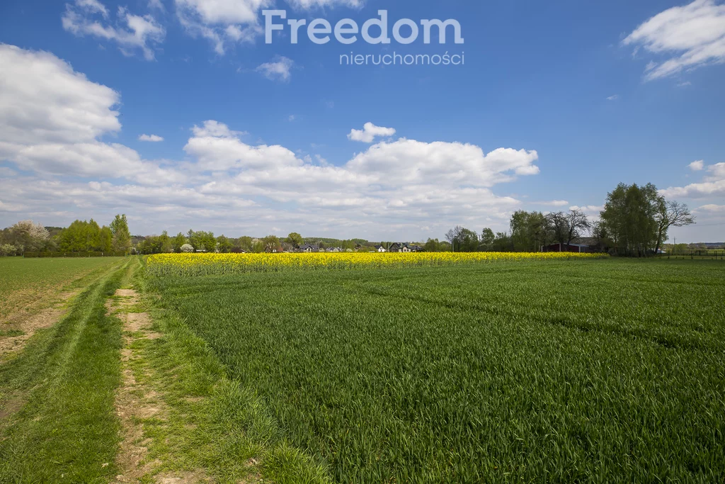Działka 5 600,00 m², oferta nr , 6766/3685/OGS, Kraczkowa