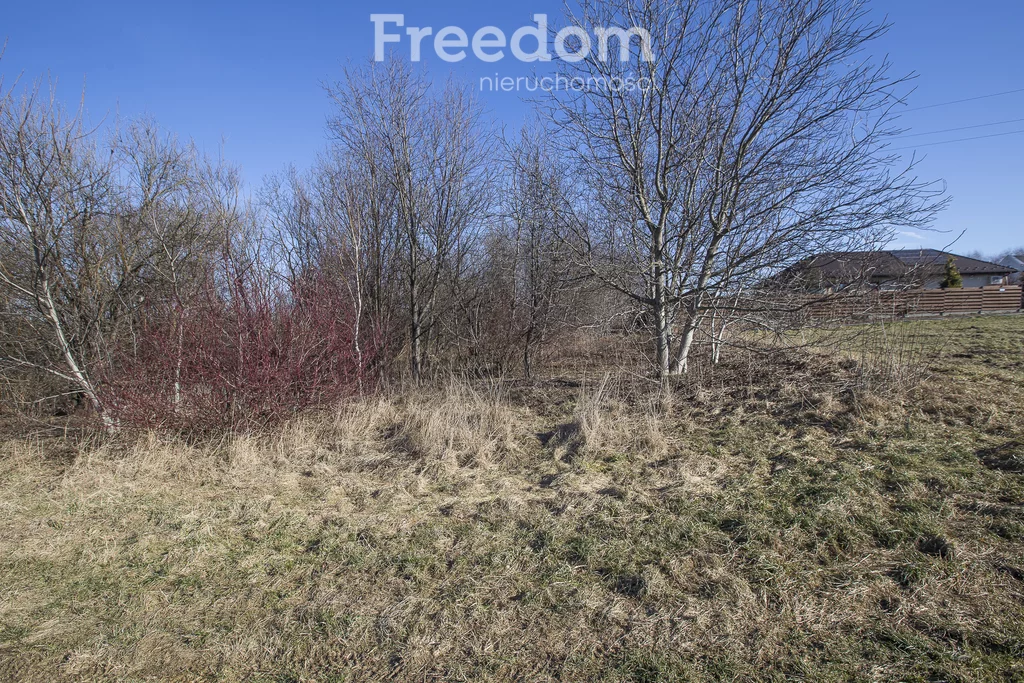 Działka 11 400,00 m², oferta nr , 10423/3685/OGS, Krasne