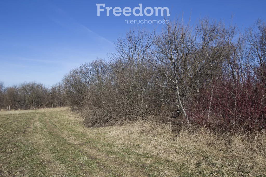 Działka 11 400,00 m², oferta nr , 10423/3685/OGS, Krasne