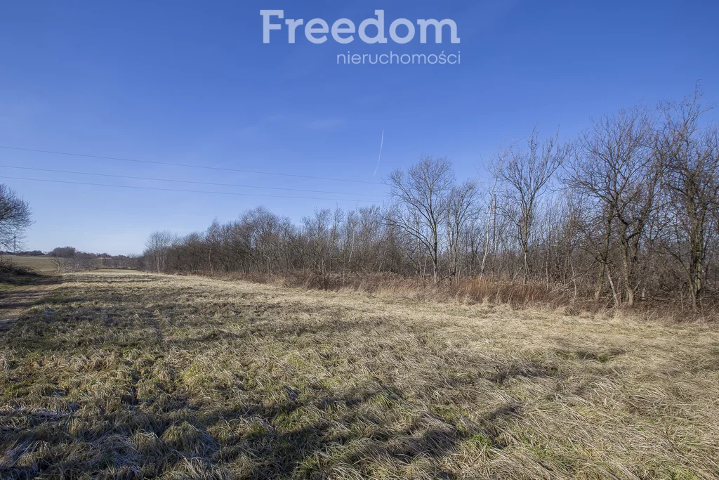 Działka 11 400,00 m², oferta nr , 10423/3685/OGS, Krasne