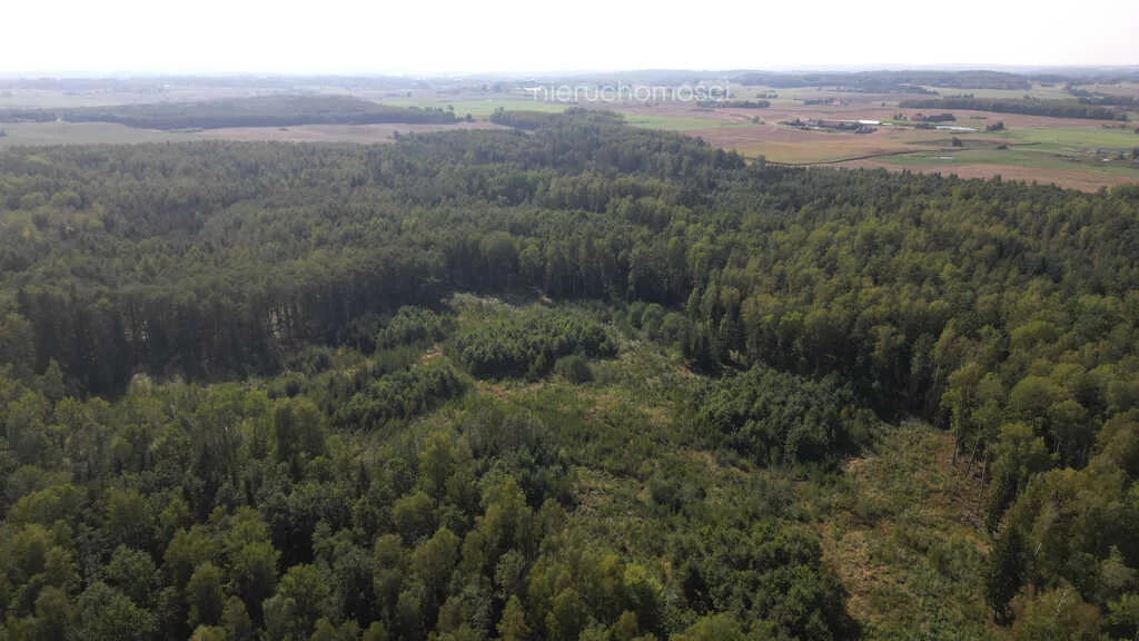Działka 5 873,00 m², oferta nr , 8958/3685/OGS, Krekole