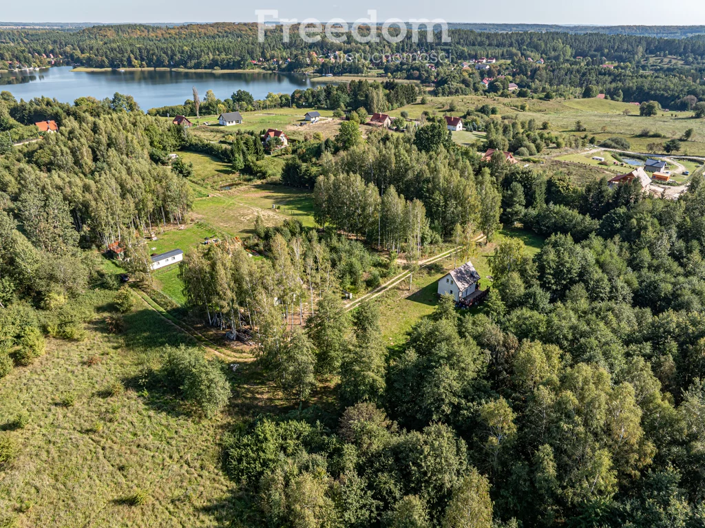 10656/3685/OGS - zdjęcie nr 2