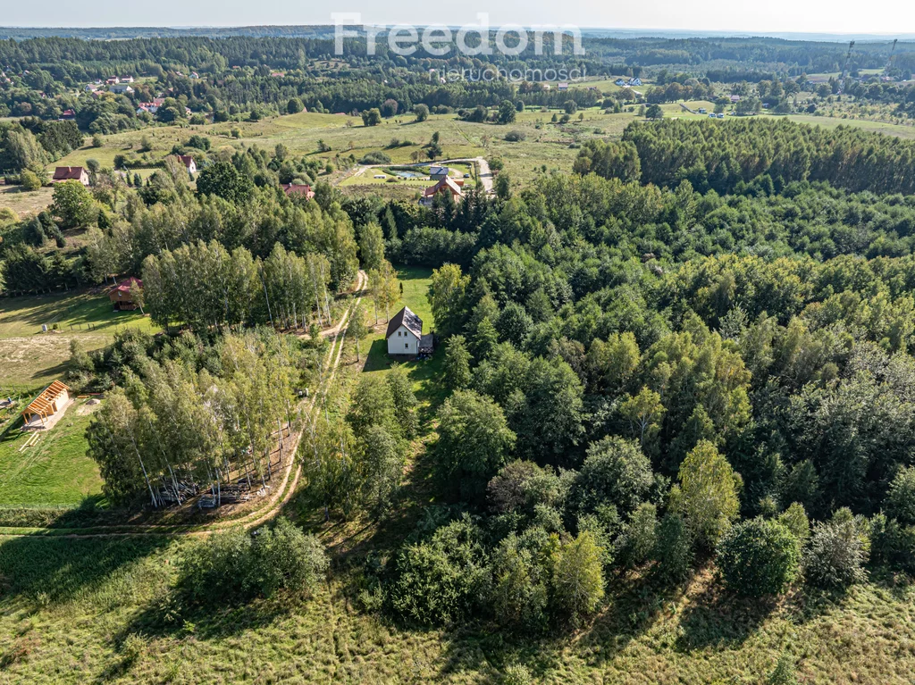 10656/3685/OGS - zdjęcie nr 3