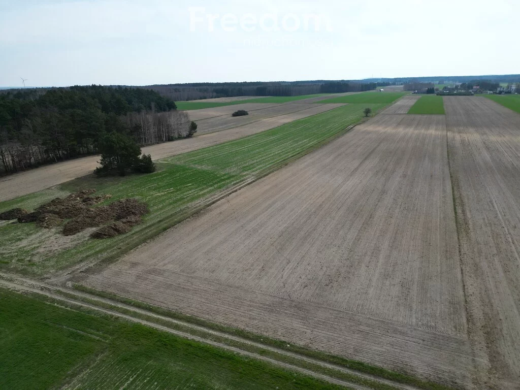 Działka 15 300,00 m², oferta nr , 10432/3685/OGS, Krosno