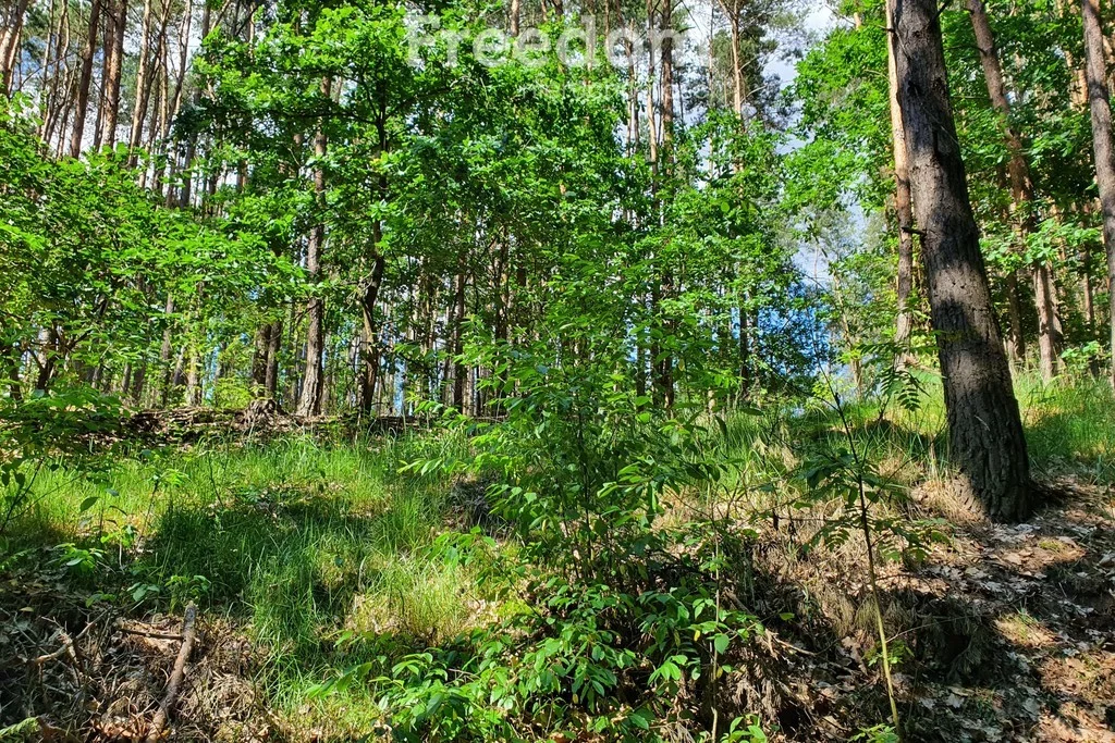 Działka 25 167,09 m², oferta nr , 8062/3685/OGS, Kruszyna