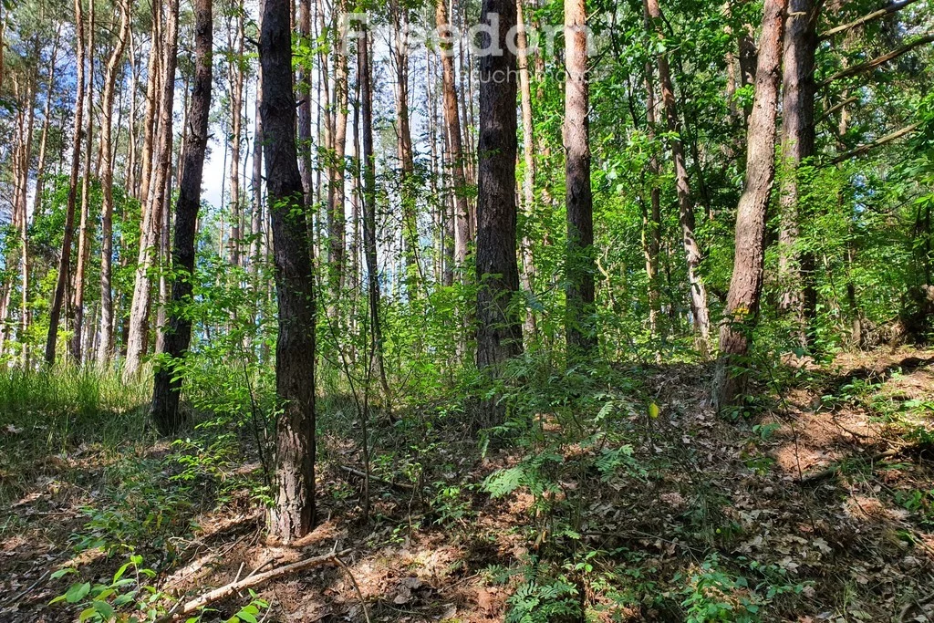 Działka 25 167,09 m², oferta nr , 8062/3685/OGS, Kruszyna