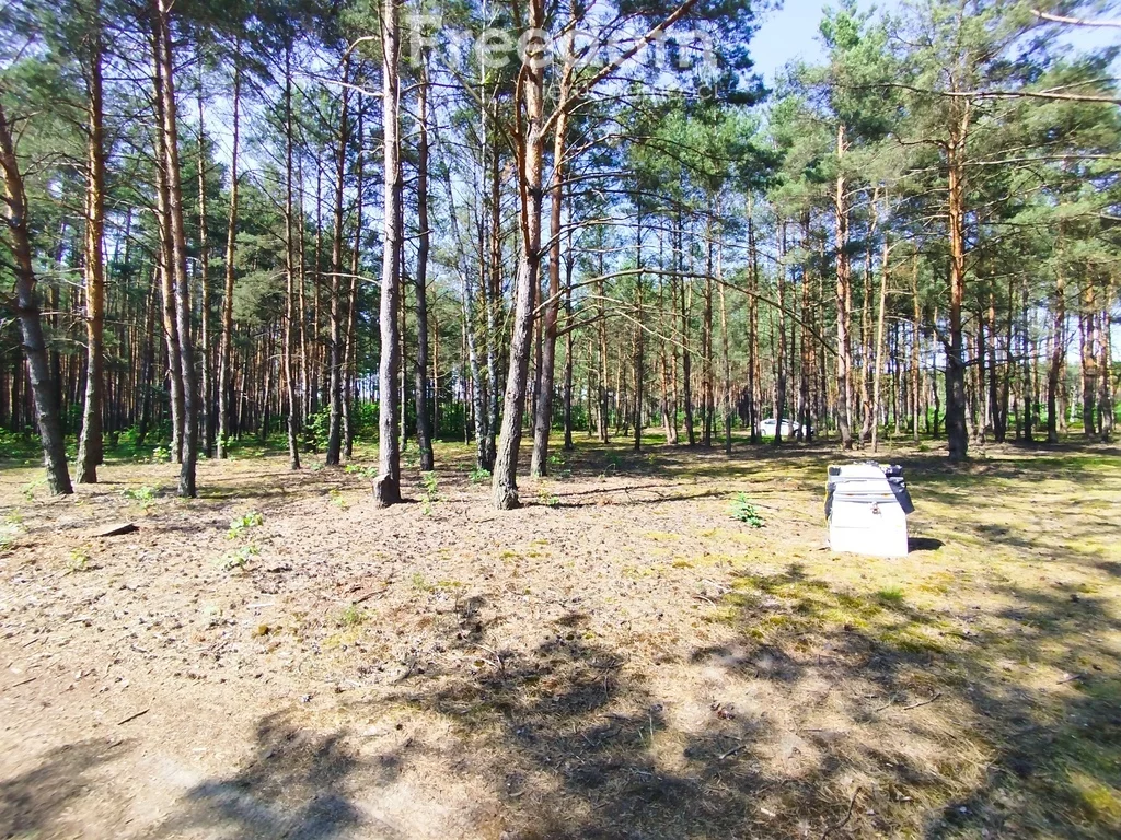 Apartamenty 10766/3685/OGS Krzemień