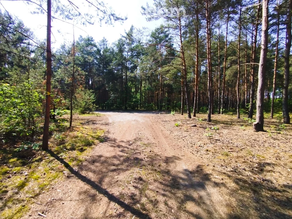 10766/3685/OGS - zdjęcie nr 0