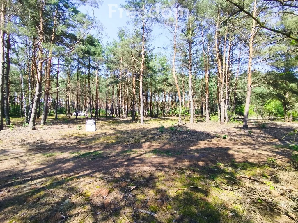 10766/3685/OGS - zdjęcie nr 1