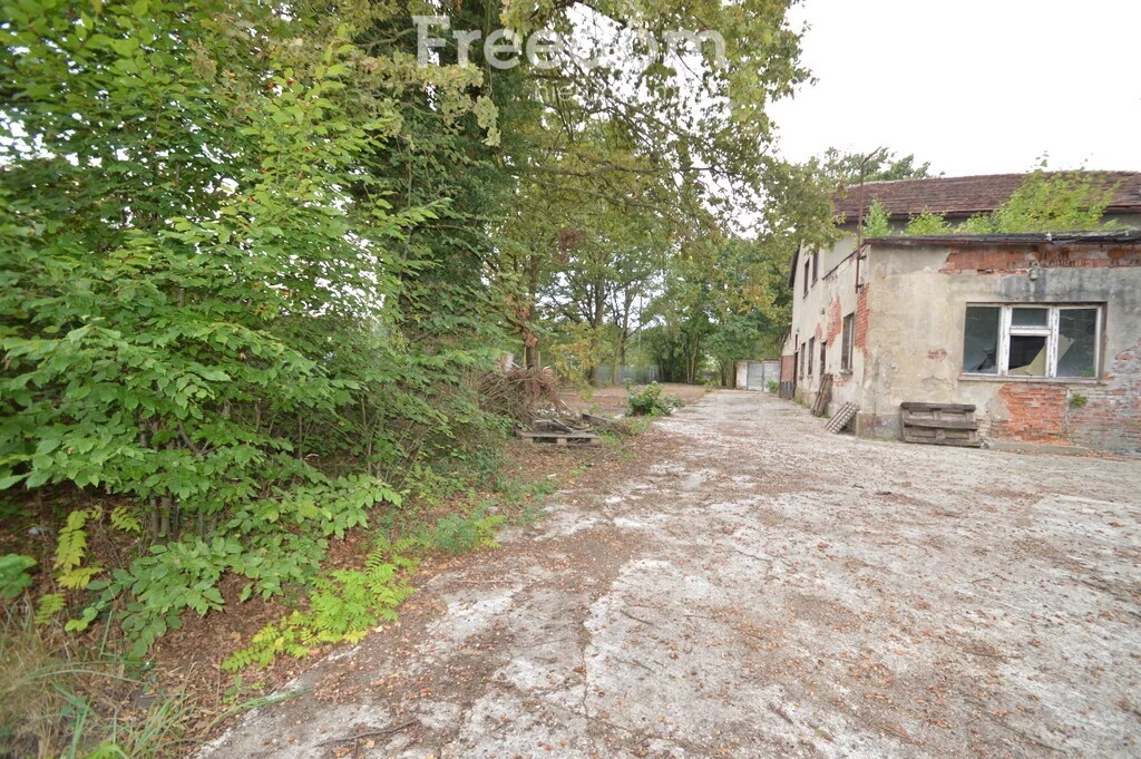 Działka 4 543,00 m², oferta nr , 11225/3685/OGS, Pokój, Krzywa