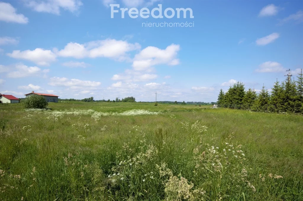 Działka 944,00 m², oferta nr , 5991/3685/OGS, Krzywe