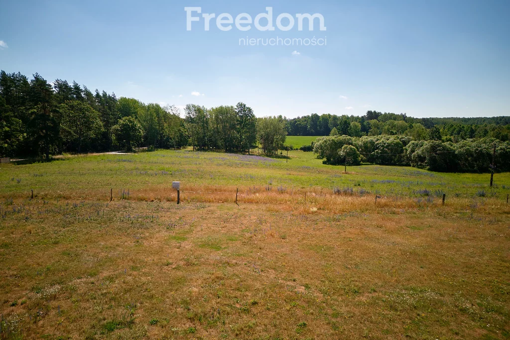 Działka 3 003,00 m², oferta nr , 8178/3685/OGS, Krzywe