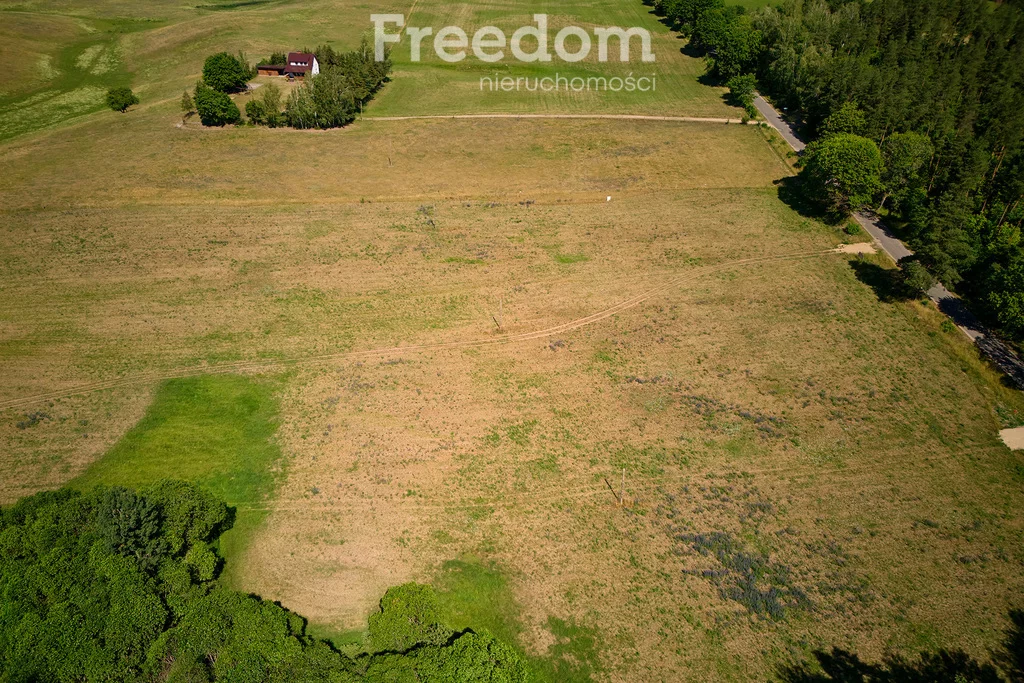 Działka 3 003,00 m², oferta nr , 8178/3685/OGS, Krzywe