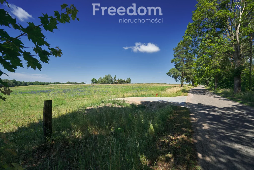 Działka 3 003,00 m², oferta nr , 8178/3685/OGS, Krzywe