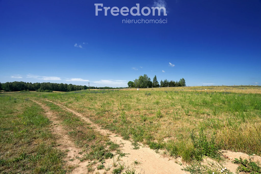 Działka 3 003,00 m², oferta nr , 8178/3685/OGS, Krzywe