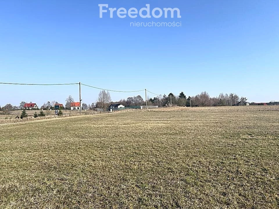 10238/3685/OGS - zdjęcie nr 3