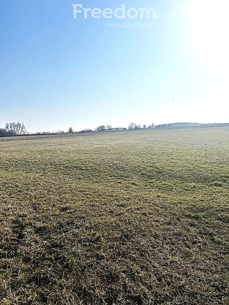 10238/3685/OGS - zdjęcie nr 4