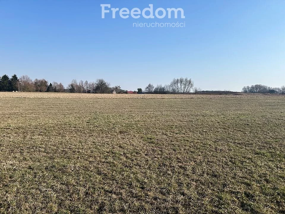 Działka 3 003,00 m², oferta nr , 10238/3685/OGS, Krzywe