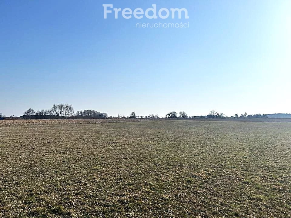 Działka 3 003,00 m², oferta nr , 10238/3685/OGS, Krzywe