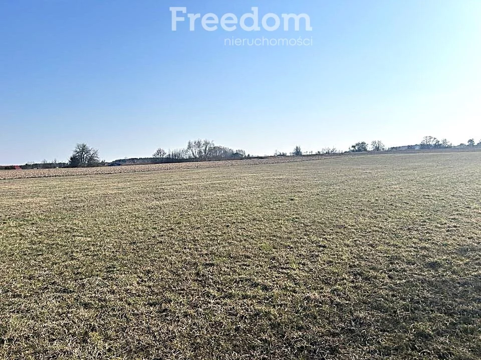 Działka 3 003,00 m², oferta nr , 10238/3685/OGS, Krzywe