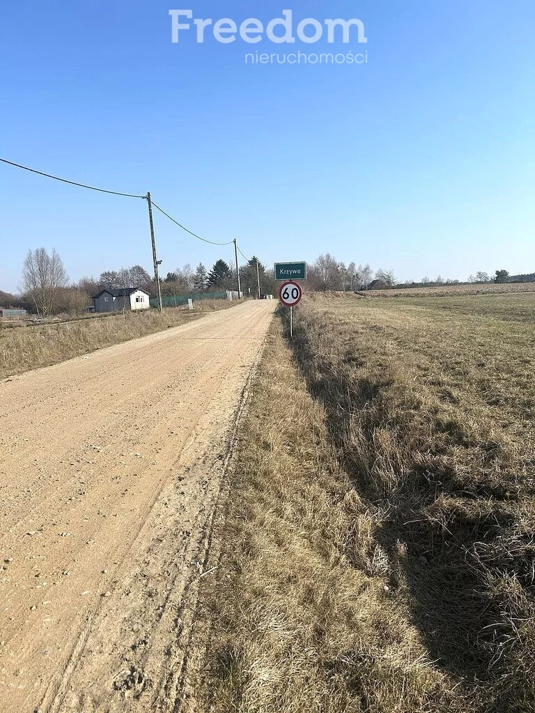 Działka 3 003,00 m², oferta nr , 10238/3685/OGS, Krzywe